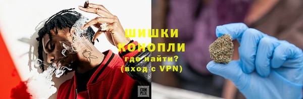 соль ск Белокуриха