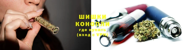 соль ск Белокуриха