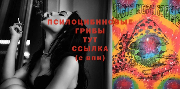 соль ск Белокуриха